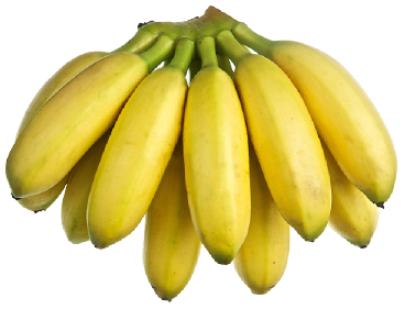Banana - PRODUCTOS AGRICOLAS MARAMPO S.P.R DE R.L